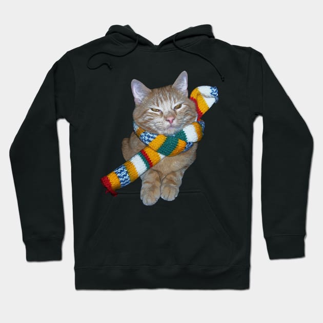 Cat in a scarf Hoodie by kamdesigns